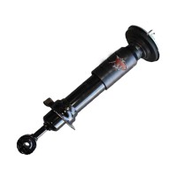 EFS Suspension Struts